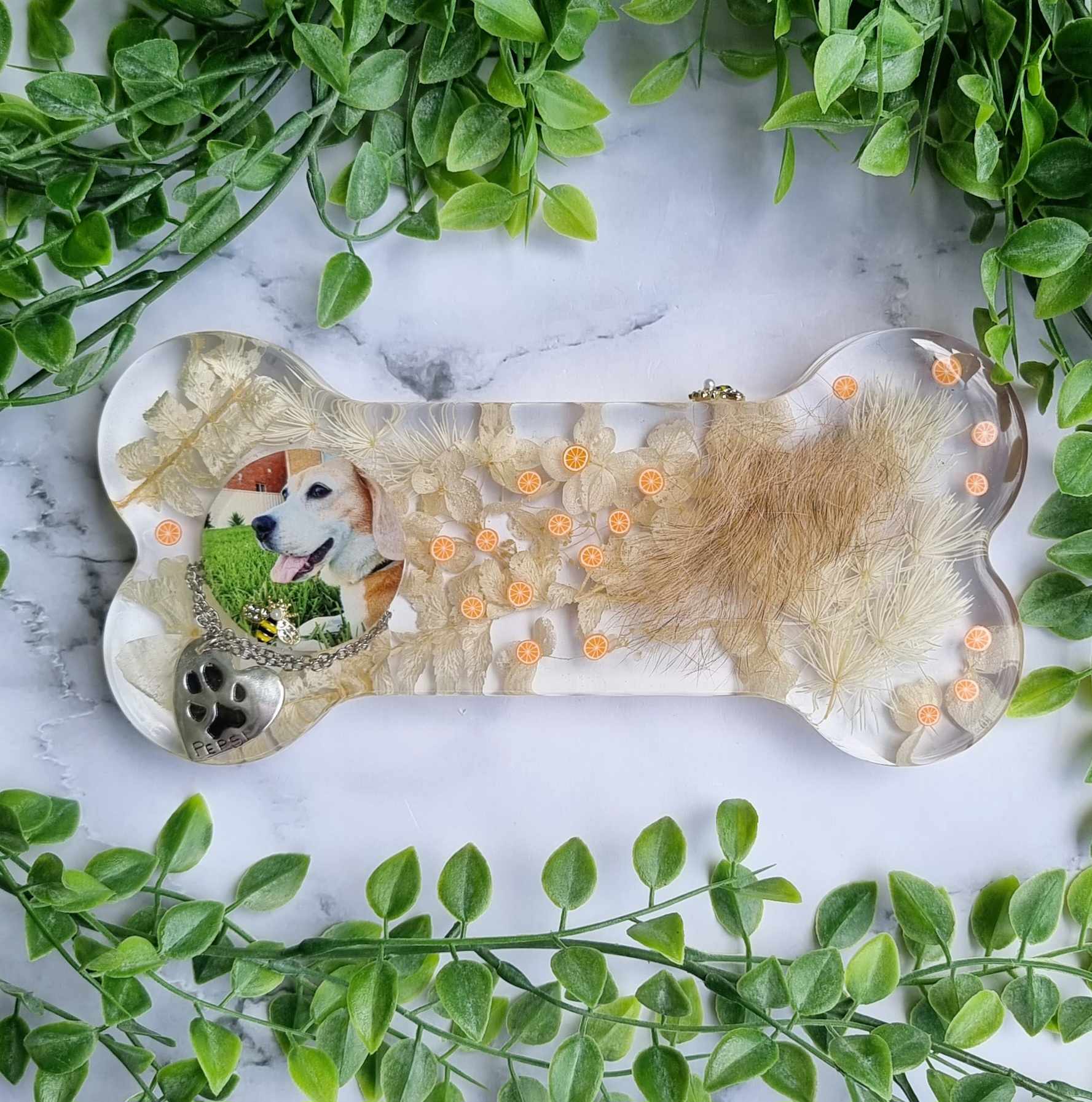 Pet preservation